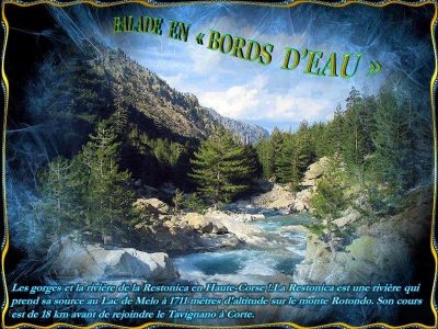 Balade en bords d'eau