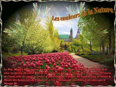 Les couleurs de la Nature