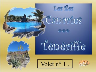 Les Îles Canaries - Volet 1 - Ténérife