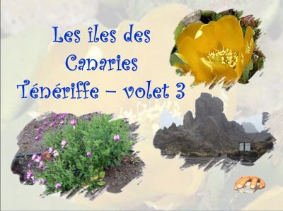 Les Îles Canaries - Volet 3 - Ténérife