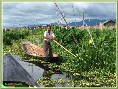 Myanmar - 7 - Lac Inlé