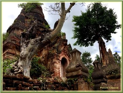 Myanmar -8 - Inthein