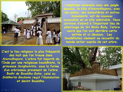 Le Triangle Culturel Anuradhapura