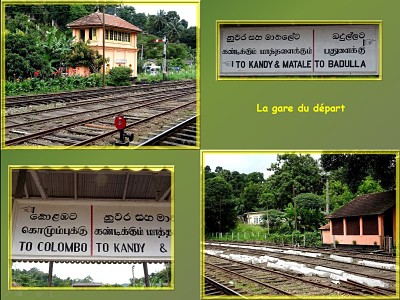 Au Sri Lanka – 6 – Les Hautes Terres