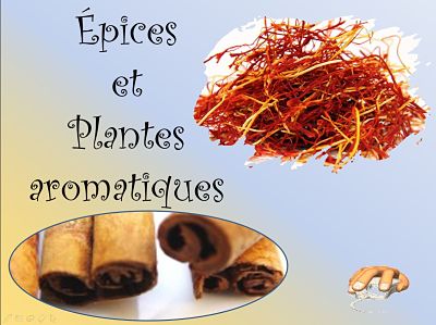 Épices et plantes aromatiques