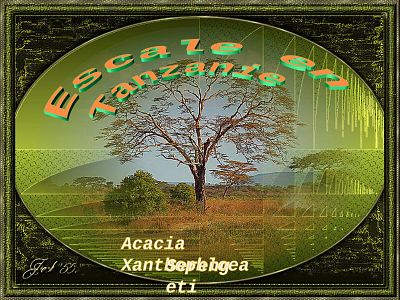 Escale en Tanzanie