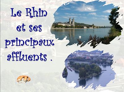 Le Rhin et ses principaux affluents