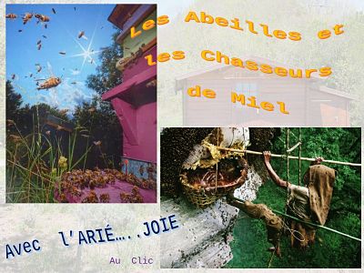 Les abeilles et les chasseurs de miel