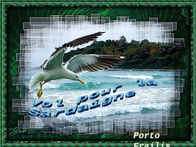 Vol pour la Sardaigne