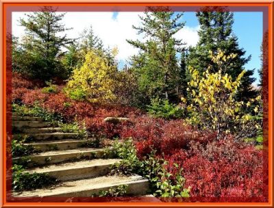 Charlevoix - Randonnée des Grands Jardins