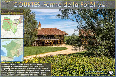 Courtes-ferme de la forêt
