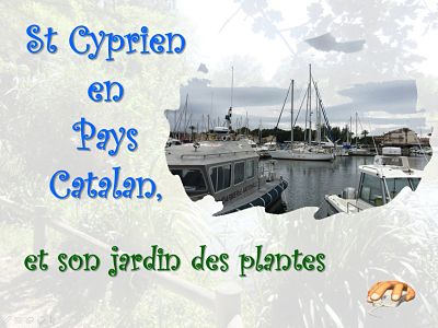 Saint-Cyprien en Pays Catalan, et son jardin des plantes