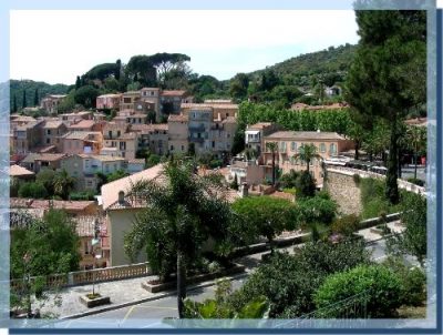 Bormes les Mimosas
