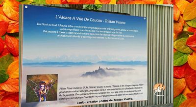 L'Alsace à vue de coucou - Tristan Vuano