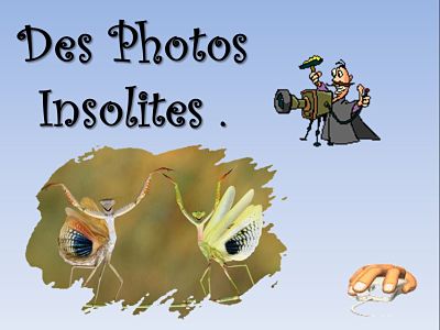 Des photos insolites