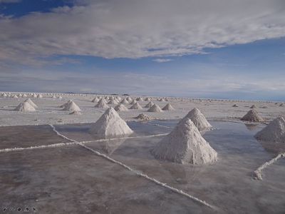 Le Champ de Sel