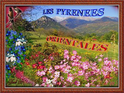 Les Pyrénées Orientales