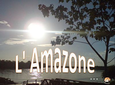 L'Amazone - un long fleuve tranquille