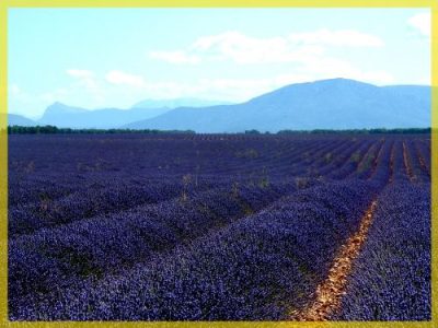 Gréoux-Valensole