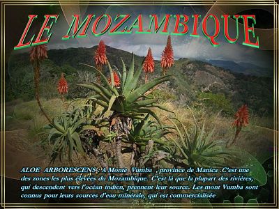 Le Mozambique